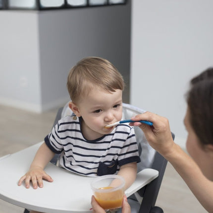 Babymoov Opbergbakjes Kit L 250Ml 6st - Babymoov - Babywinkel - 3661276147362