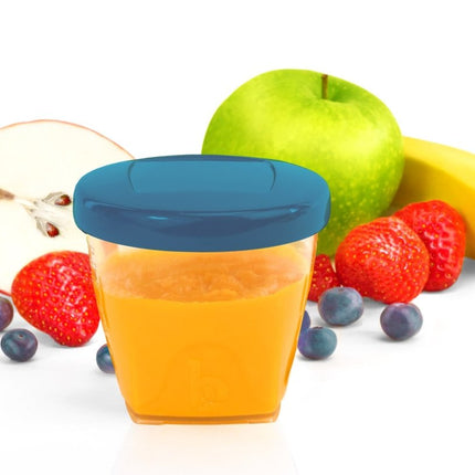 Babymoov Opbergbakjes Kit L 250Ml 6st - Babymoov - Babywinkel - 3661276147362