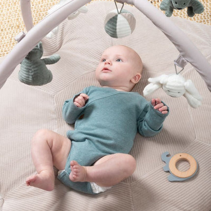 Baby's Only Bijtring Olifant Grijs koop je bij Babywinkel