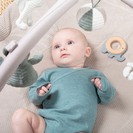 Baby's Only Bijtring Olifant Grijs koop je bij Babywinkel