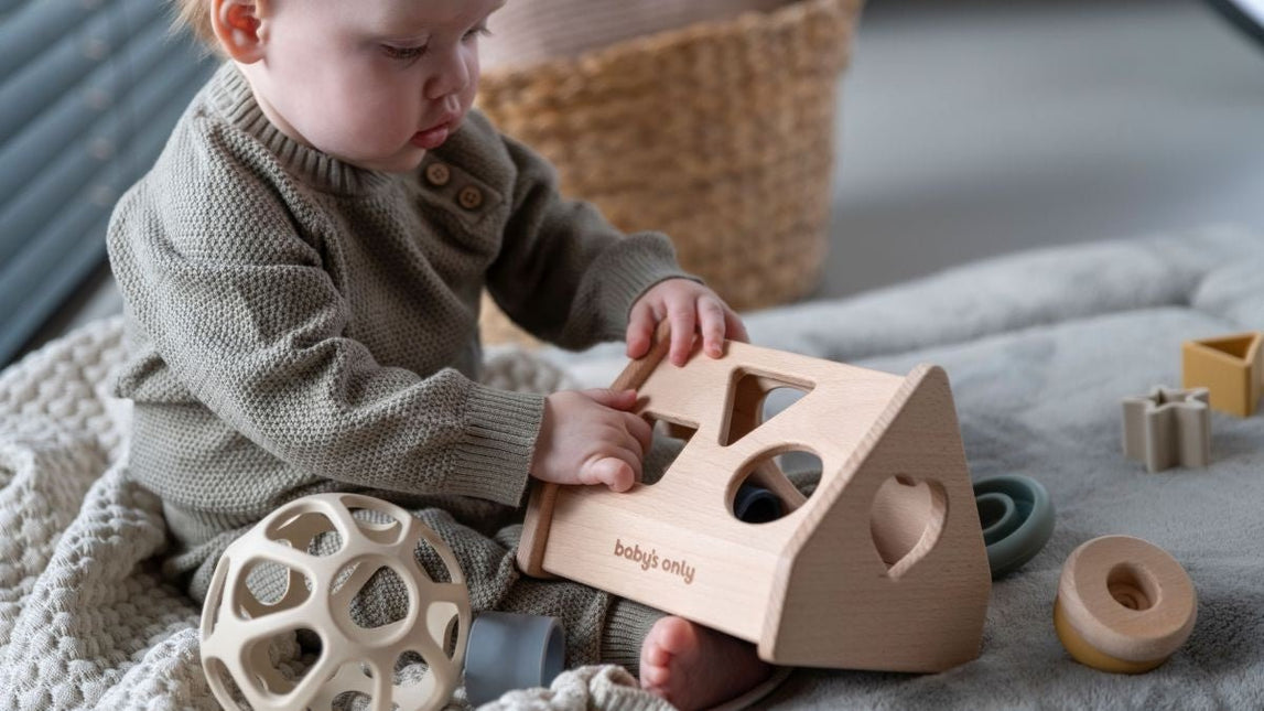 Baby's Only Vormenstoof Huis Earth koop je bij Babywinkel