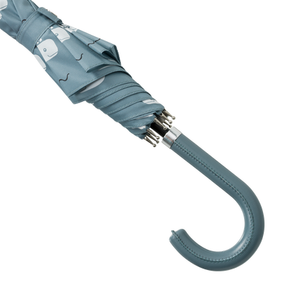 <tc>Fresk</tc> Regenschirm-Wal