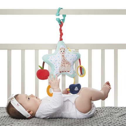 <tc>Sophie de Giraf</tc> Sensory Toy Star