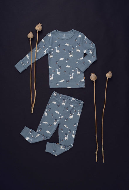 Fresk Baby Pyjama Dino 2 - delig - Fresk - Babywinkel - 8720874450399