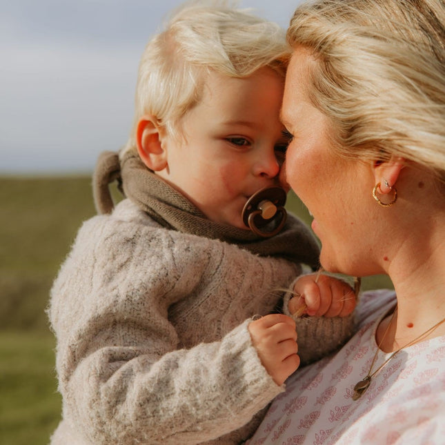 Frigg Speen Maat 1 Little Viking Ocean View/Cocoa Silicone 2St koop je bij Babywinkel