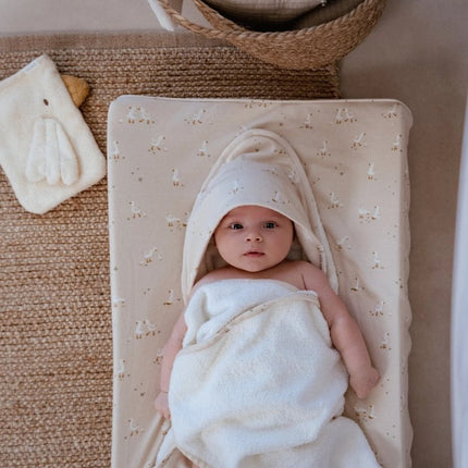 Little Dutch Giftbox Little Goose koop je bij Babywinkel