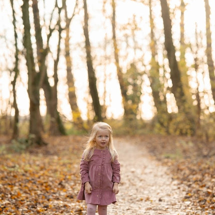 Jurkje lange mouw Rouge - Babywinkel - 8721122581827