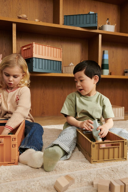 Liewood Opbergbakjes Weston Whale Blue M 2St koop je bij Babywinkel