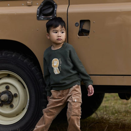 Little Dutch Baby Sweater Safari Deep Olive koop je bij Babywinkel