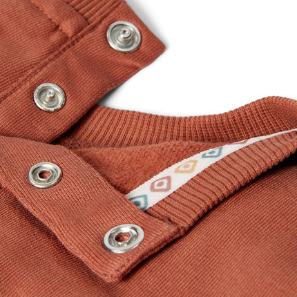 Little Dutch Baby Sweater Safari Desert Red koop je bij Babywinkel