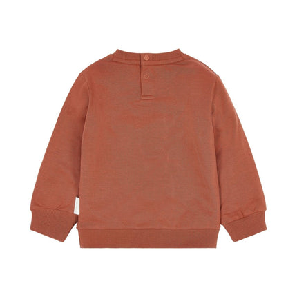 Little Dutch Baby Sweater Safari Desert Red koop je bij Babywinkel