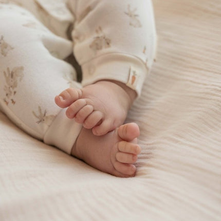 Little Dutch Boxpakje Baby Bunny koop je bij Babywinkel