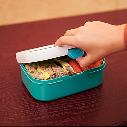 Lunchbox Campus Disney Princess - Babywinkel - 8720294022411