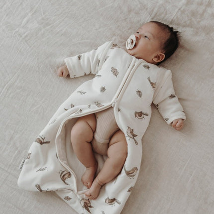 schlafsack baby mit ärmeln Meyco Baby Robin Babyschlafsack mit abnehmbaren Ärmeln Multicolour – Babywinkel