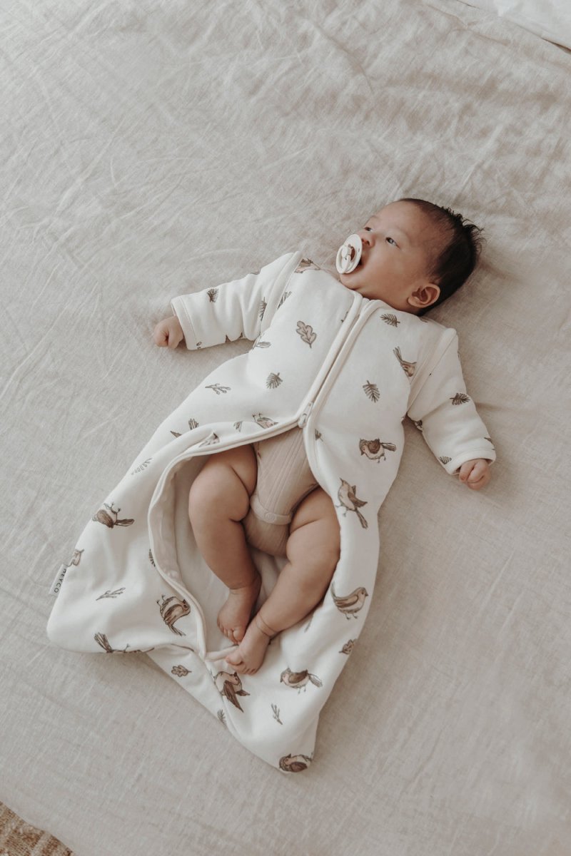 meyco baby schlafsack Meyco Baby Robin Babyschlafsack mit abnehmbaren Ärmeln Multicolour – Babywinkel