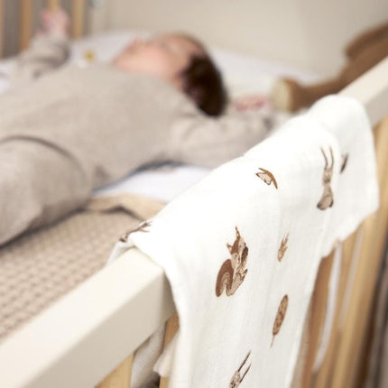 Meyco Hydrofiele Doek Animals 3 - Pack Toffee 70X70cm koop je bij Babywinkel