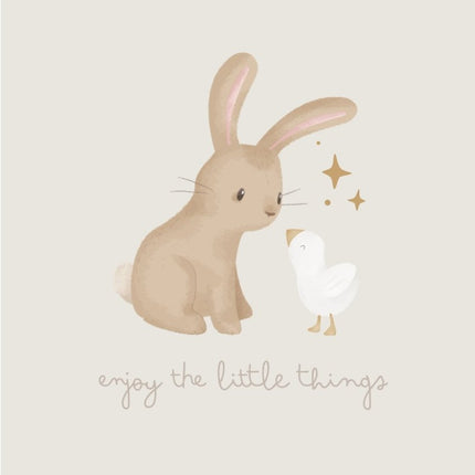 Poster A3 NBN Little Goose - Babywinkel - 8721122585900