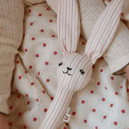 Ratelaar Konijn Stripie Petite Rose koop je bij Babywinkel