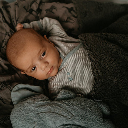 Snoozebaby Wiegdeken T.O.G 2.0 Dark Green 100x75cm - Snoozebaby - Babywinkel - 8719743857728